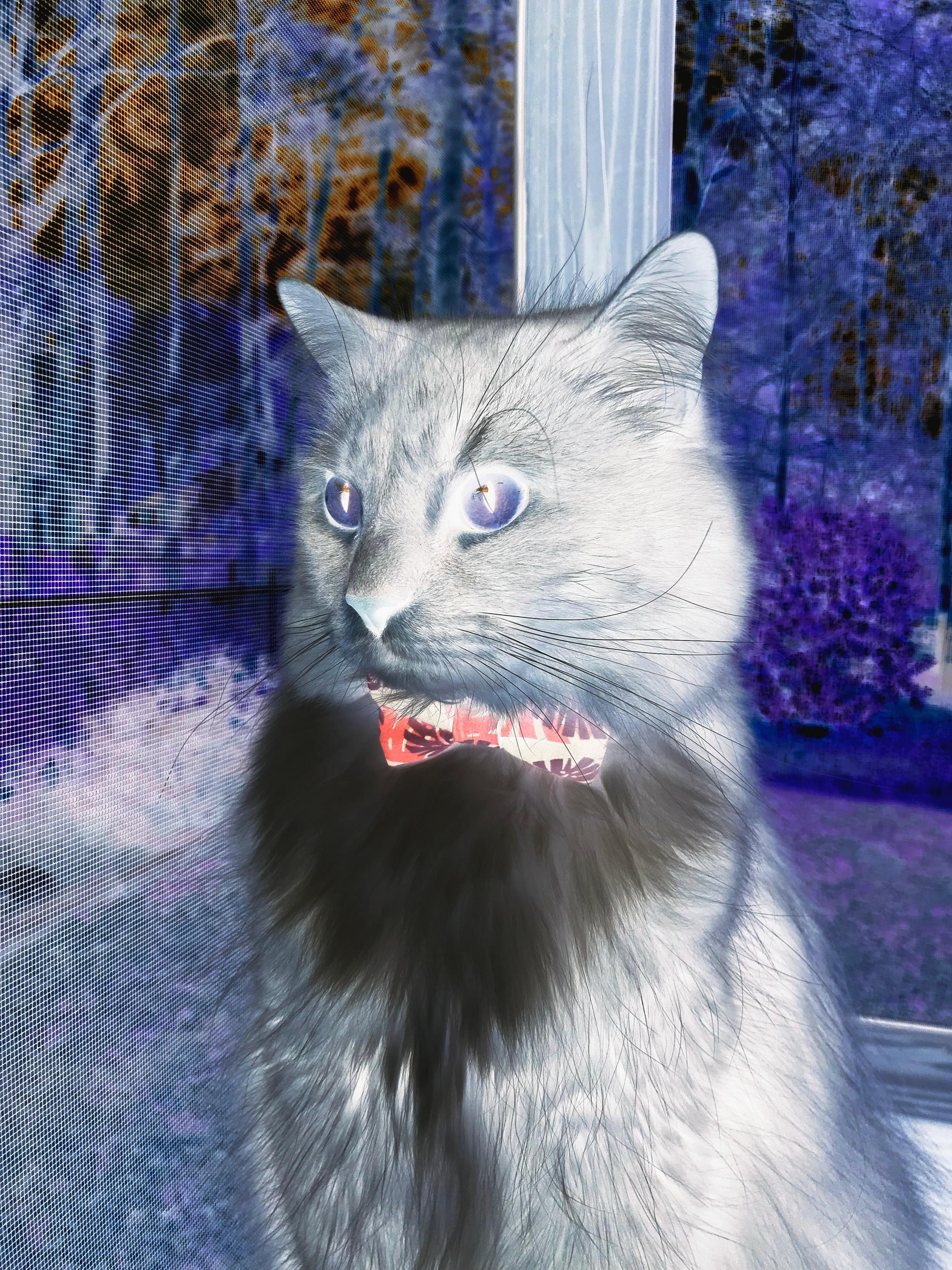 英超球队基于大数据的对手进攻模式预测研究，英超球队战术