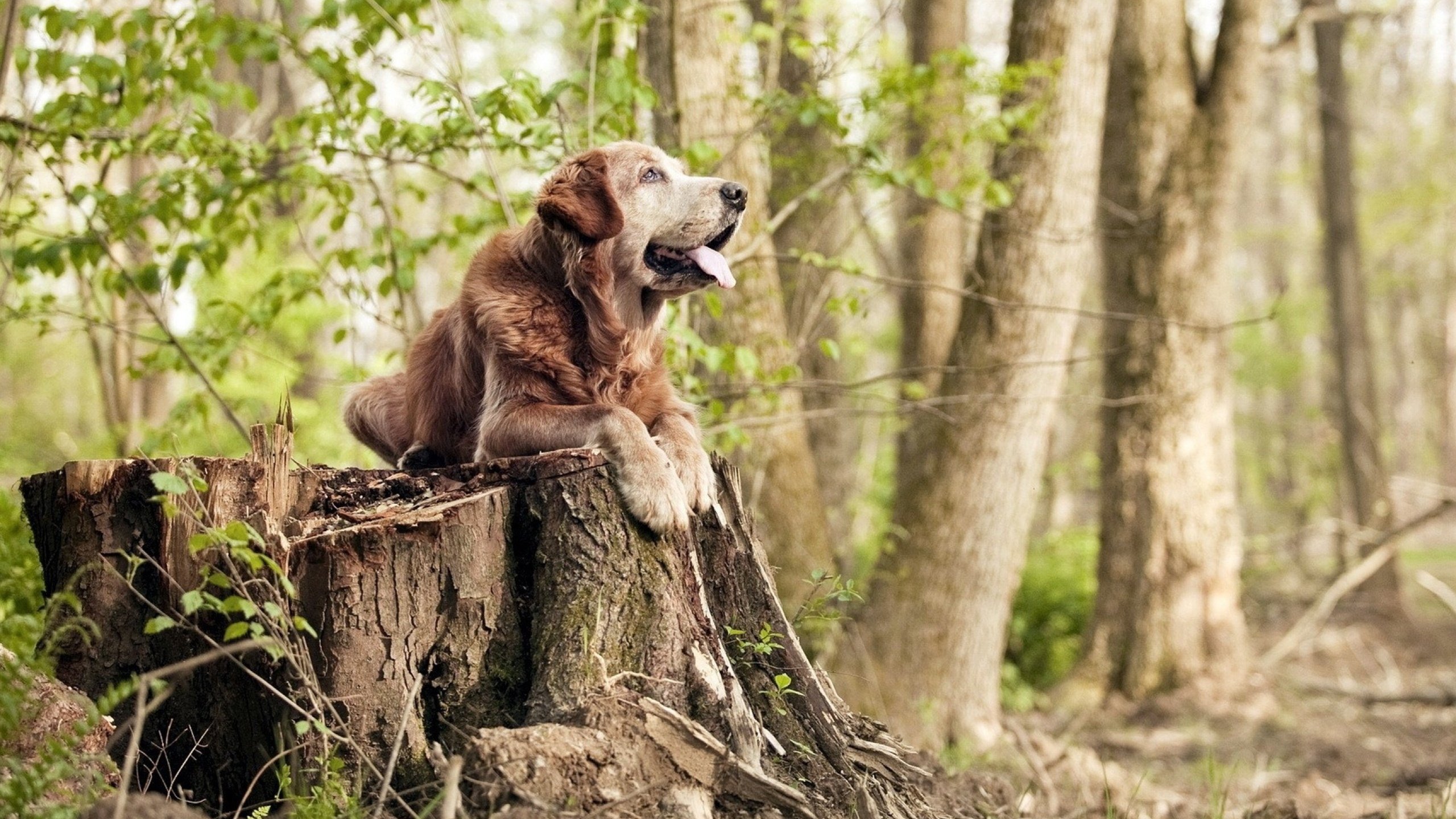 球员触球频次是否过高导致推进效率下降，如何提高触球频率