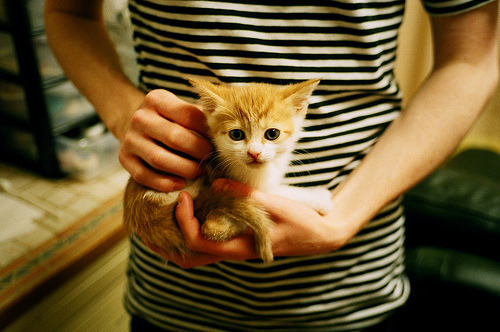 皇家社会中路传导提升渗透深度,皇家社会怎么样