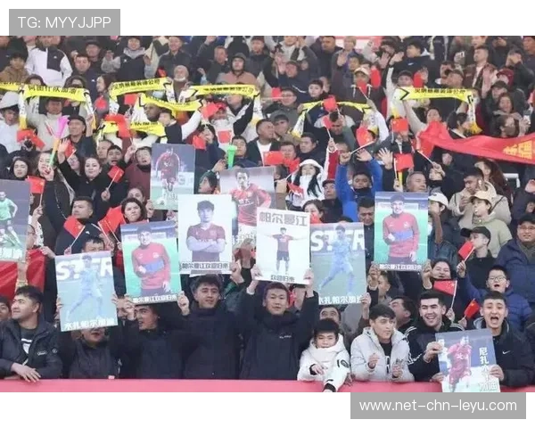 球迷们的热情支持，点燃赛场激情！，足球热情